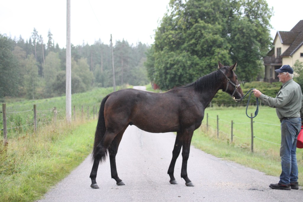 Teanie e Beanie MM u Lajos Vurö e Gentle Star.