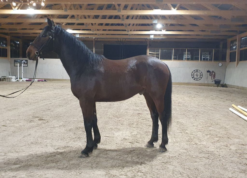 20260315_1922242819240999125263611